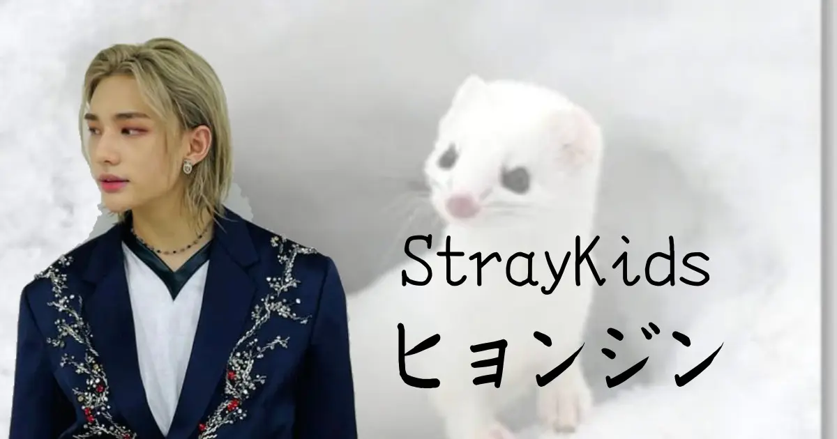 StrayKidsヒョンジン 7点セット タレントグッズ アイドル タレント