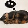 走る ﾍ ﾉ 顔文字一覧 なるの推し活